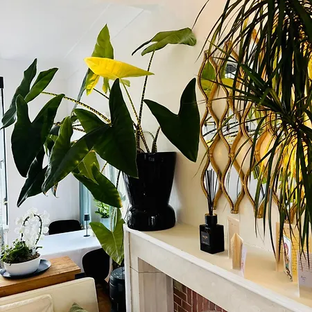 Bed & Breakfast Maison Noire Westende-bad Incl Parking&ontbijt Middelkerke