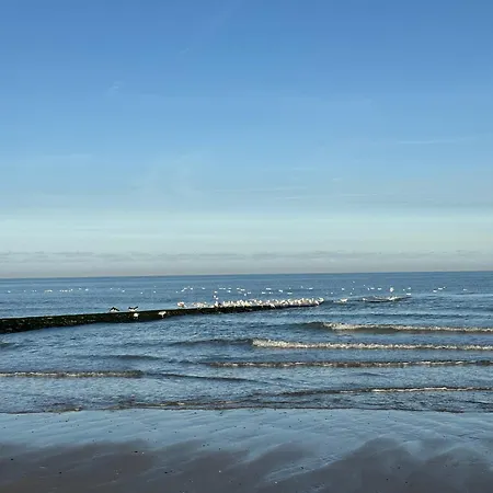 Maison Noire Westende-bad Incl Parking & Ontbijt Bed & Breakfast