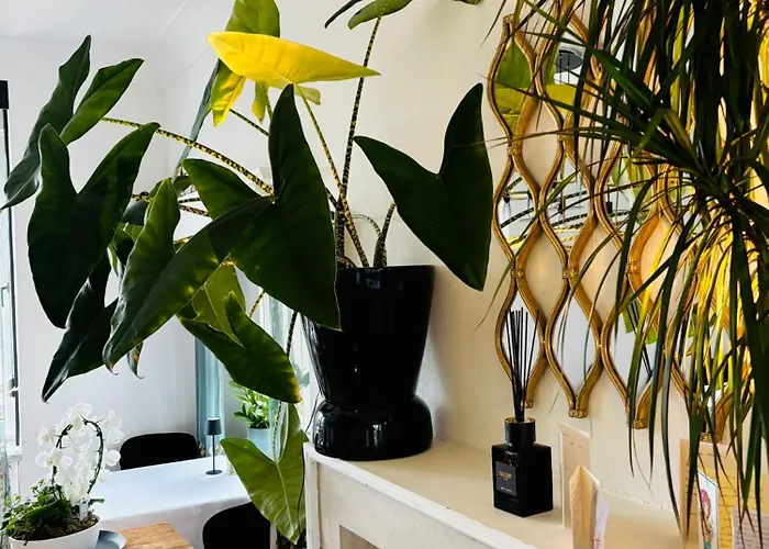 Bed & Breakfast Maison Noire Westende-bad Incl Parking & Ontbijt Middelkerke