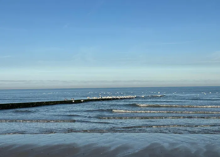 Maison Noire Westende-bad Incl Parking & Ontbijt Bed & Breakfast